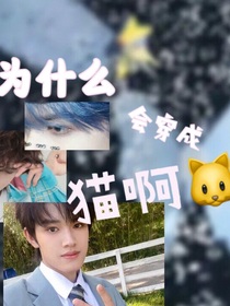 TF三代：為什么會(huì)穿成貓啊