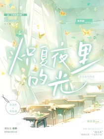 炽夏夜里的光