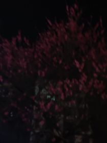 被冤死后，我成了白月光