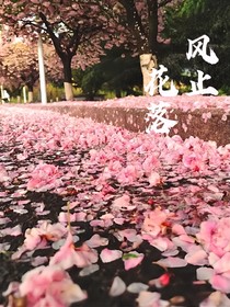 原創(chuàng)小說：風止花落