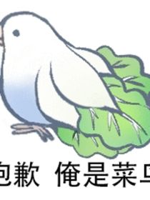 表哥怜我