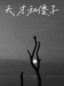 天才和傻子