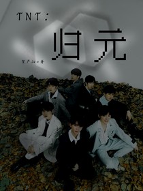 TNT：归元