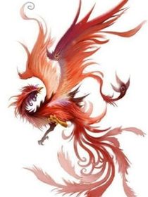 一只丹红鸟