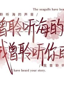 双星辉映（长述篇）