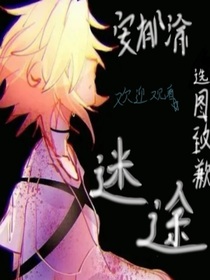 迷途：归途