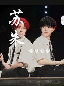 苏朱：极限拉扯