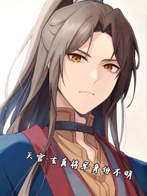 天官：玄真将军身份不明