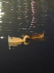 蜕……