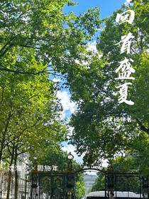 回首盛夏