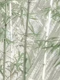 葉羅麗之王默穿越時空