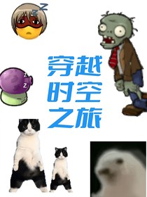穿梭的时空之旅
