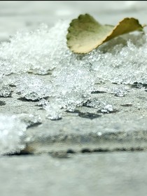 重生之恶毒兰纳罗