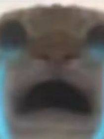 你好，我的余生，