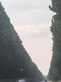 我了个小短文