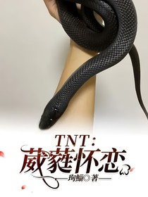 TNT：葳蕤怀恋
