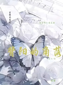 背阳的角落