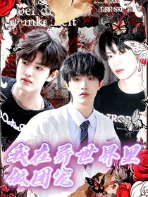 TF三代：穿越后我在異世界里做團寵