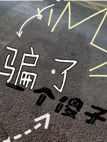 骗了一个傻子
