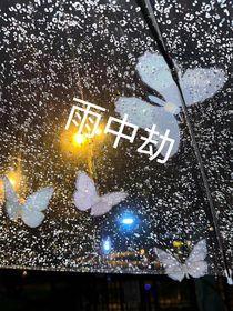 雨中劫