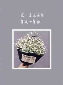 曙光下的承诺