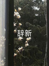 辞新