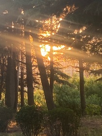 穿越，我在修仙記當霸王