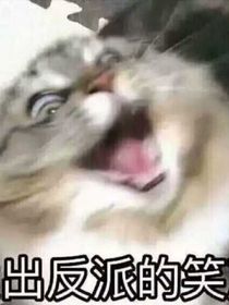 我的發(fā)癲癲癲癲癲癲癲癲癲癲日記