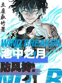 防风铃：池中之月