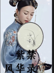 紫禁风华录之重开版