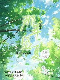 那年盛夏夏
