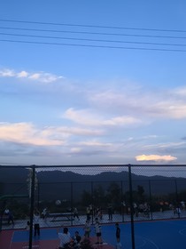 她們的夏季