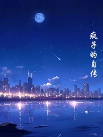 疯子的自传1