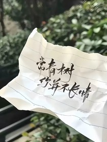 常青树，你并不长情