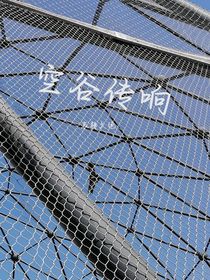空谷傳響