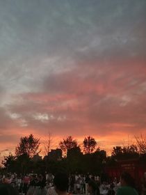 和你遇见的那个夏天