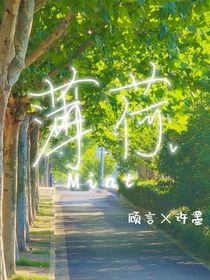 泡了薄荷，再泡你