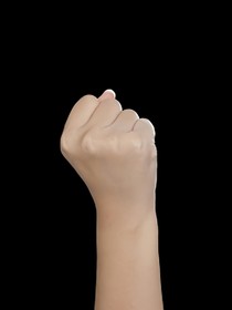 熊出沒(méi)之異世界的來(lái)客
