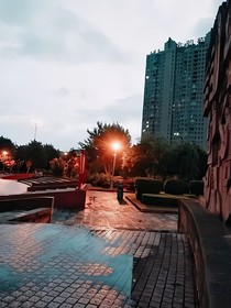 在精神病院的王