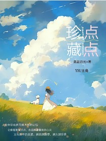 点点珍藏