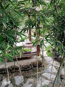 蓝家阿羡