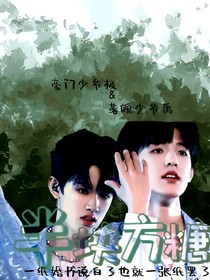 极禹半块方糖