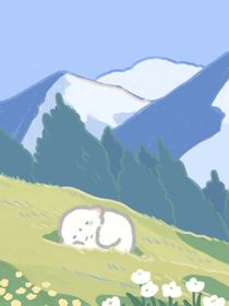 青龙的陷阱