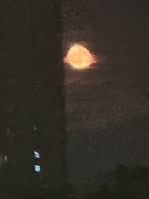 綜影視：語(yǔ)錄中