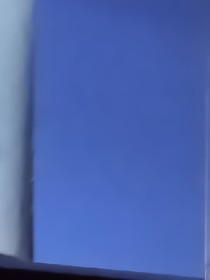 小丹日记