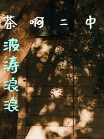 茶啊二中：波涛浪浪