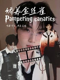娇养金丝雀