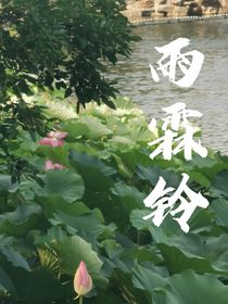 雨霖铃（不悔）
