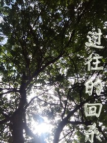 过往的回杀