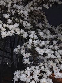 重生之势必拿下死对头